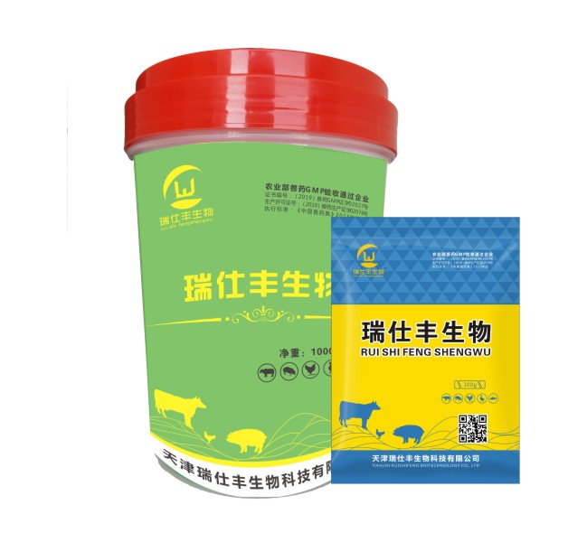 腺胃优